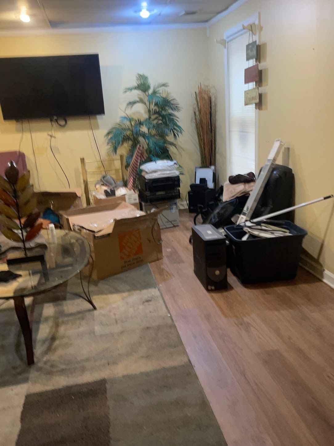 Before: Living room cleared, Wakanda Junk Removal job in metro Atlanta